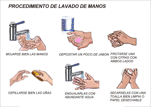 7 Procedimiento de lavado de manos